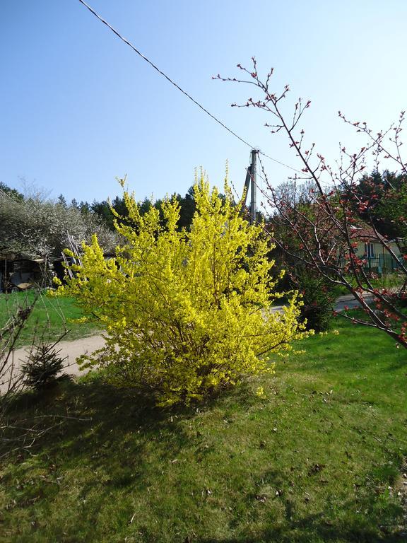 Homestay Roja Вилнюс Екстериор снимка