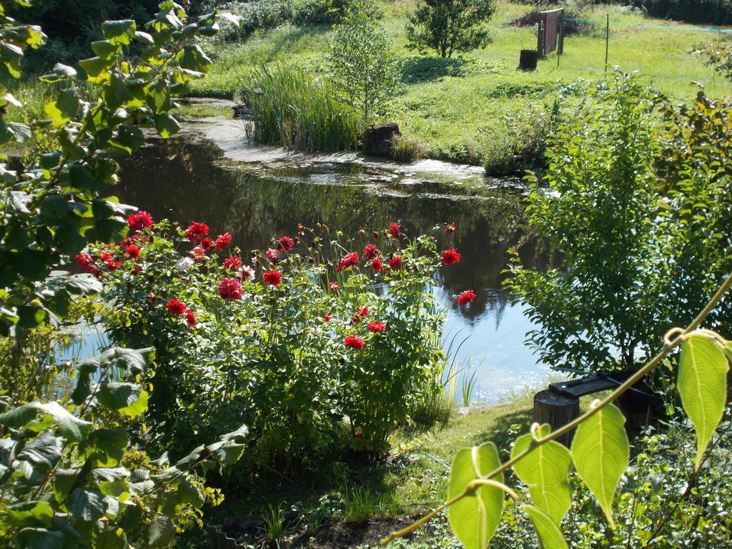 Homestay Roja Вилнюс Екстериор снимка